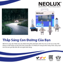 Bóng Halogen Blue Light H11 12V 55W N711B Hiệu NEOLUX
